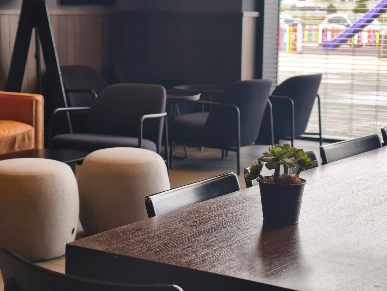 A stylish coffee shop interior featuring a potted succulent on a wooden table.